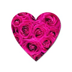 Pink Roses Roses Background Heart Magnet by Nexatart