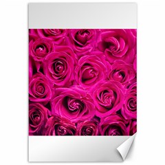 Pink Roses Roses Background Canvas 12  X 18   by Nexatart