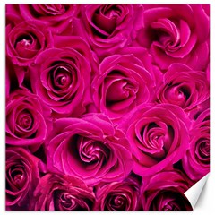 Pink Roses Roses Background Canvas 20  X 20   by Nexatart