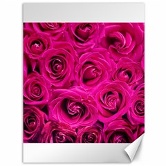 Pink Roses Roses Background Canvas 36  X 48   by Nexatart