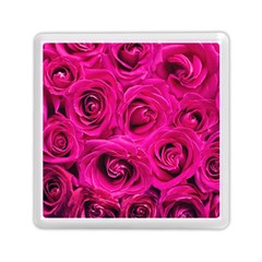 Pink Roses Roses Background Memory Card Reader (square)  by Nexatart