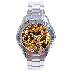 Mussels Lamp Star Pattern Stainless Steel Analogue Watch by Nexatart