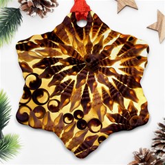 Mussels Lamp Star Pattern Ornament (snowflake) by Nexatart