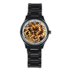 Mussels Lamp Star Pattern Stainless Steel Round Watch by Nexatart