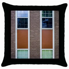 Pattern Symmetry Line Windows Throw Pillow Case (black) by Nexatart