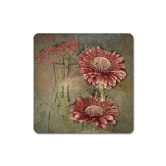 Flowers Plant Red Drawing Art Square Magnet by Nexatart