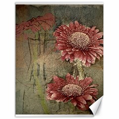 Flowers Plant Red Drawing Art Canvas 18  X 24   by Nexatart