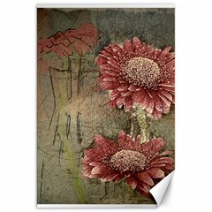 Flowers Plant Red Drawing Art Canvas 20  X 30   by Nexatart