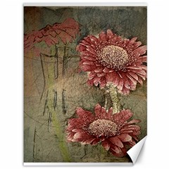 Flowers Plant Red Drawing Art Canvas 36  X 48   by Nexatart