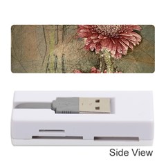 Flowers Plant Red Drawing Art Memory Card Reader (stick)  by Nexatart