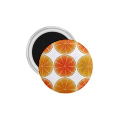 Orange Discs Orange Slices Fruit 1 75  Magnets by Nexatart