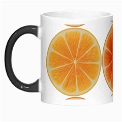 Orange Discs Orange Slices Fruit Morph Mugs by Nexatart