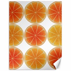 Orange Discs Orange Slices Fruit Canvas 12  X 16   by Nexatart