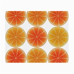 Orange Discs Orange Slices Fruit Small Glasses Cloth (2-side) by Nexatart