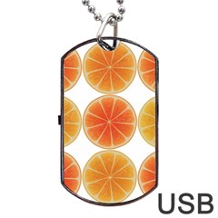 Orange Discs Orange Slices Fruit Dog Tag Usb Flash (one Side) by Nexatart