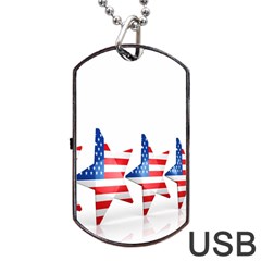 Multiple Us Flag Stars Line Slide Dog Tag Usb Flash (two Sides) by Mariart