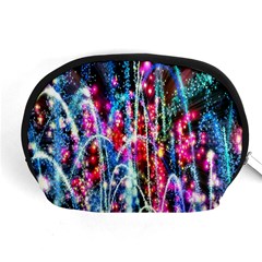 Fireworks Rainbow Accessory Pouches (medium)  by Mariart