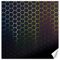 Hexagons Honeycomb Canvas 20  x 20  