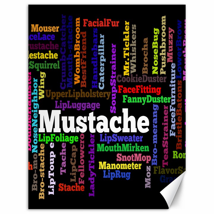 Mustache Canvas 12  x 16  