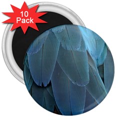 Feather Plumage Blue Parrot 3  Magnets (10 Pack)  by Nexatart