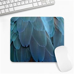 Feather Plumage Blue Parrot Large Mousepads by Nexatart