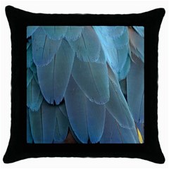 Feather Plumage Blue Parrot Throw Pillow Case (black) by Nexatart