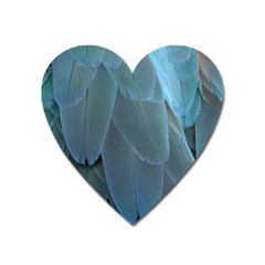 Feather Plumage Blue Parrot Heart Magnet by Nexatart