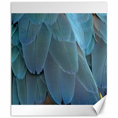 Feather Plumage Blue Parrot Canvas 8  X 10  by Nexatart