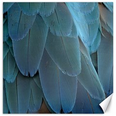 Feather Plumage Blue Parrot Canvas 16  X 16   by Nexatart