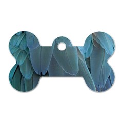 Feather Plumage Blue Parrot Dog Tag Bone (two Sides) by Nexatart