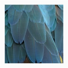 Feather Plumage Blue Parrot Medium Glasses Cloth by Nexatart