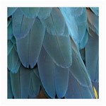 Feather Plumage Blue Parrot Medium Glasses Cloth (2-Side) Front