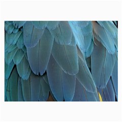 Feather Plumage Blue Parrot Large Glasses Cloth (2-side) by Nexatart