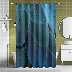 Feather Plumage Blue Parrot Shower Curtain 48  X 72  (small)  by Nexatart