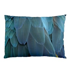 Feather Plumage Blue Parrot Pillow Case (two Sides) by Nexatart