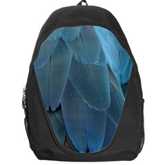 Feather Plumage Blue Parrot Backpack Bag by Nexatart