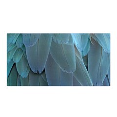 Feather Plumage Blue Parrot Satin Wrap by Nexatart