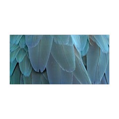 Feather Plumage Blue Parrot Yoga Headband by Nexatart