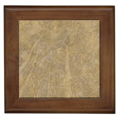 Abstract Forest Trees Age Aging Framed Tiles by Nexatart