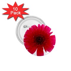 Flower Isolated Transparent Blossom 1 75  Buttons (10 Pack) by Nexatart