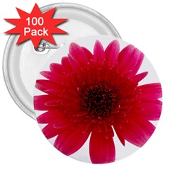 Flower Isolated Transparent Blossom 3  Buttons (100 Pack)  by Nexatart