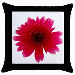 Flower Isolated Transparent Blossom Throw Pillow Case (black) by Nexatart