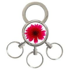 Flower Isolated Transparent Blossom 3-ring Key Chains by Nexatart