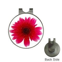 Flower Isolated Transparent Blossom Hat Clips With Golf Markers by Nexatart