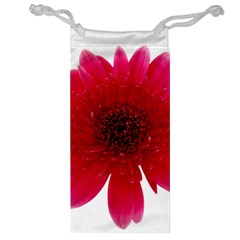 Flower Isolated Transparent Blossom Jewelry Bag by Nexatart