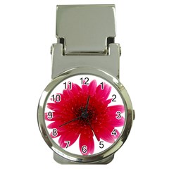 Flower Isolated Transparent Blossom Money Clip Watches by Nexatart