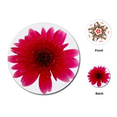 Flower Isolated Transparent Blossom Playing Cards (round)  by Nexatart