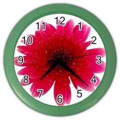 Flower Isolated Transparent Blossom Color Wall Clocks by Nexatart