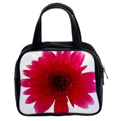 Flower Isolated Transparent Blossom Classic Handbags (2 Sides) by Nexatart