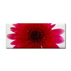 Flower Isolated Transparent Blossom Cosmetic Storage Cases by Nexatart